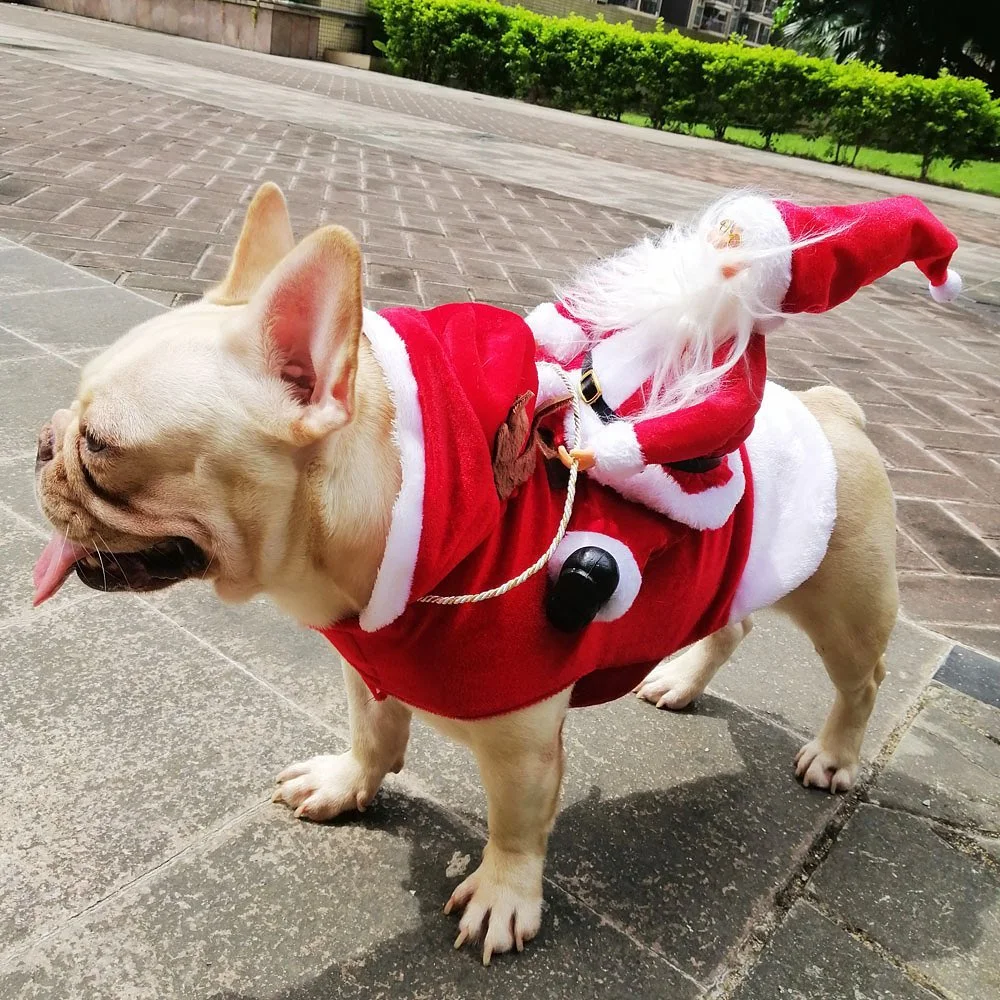 Roupinha de Natal Para Pet - Engraçada e Elegante