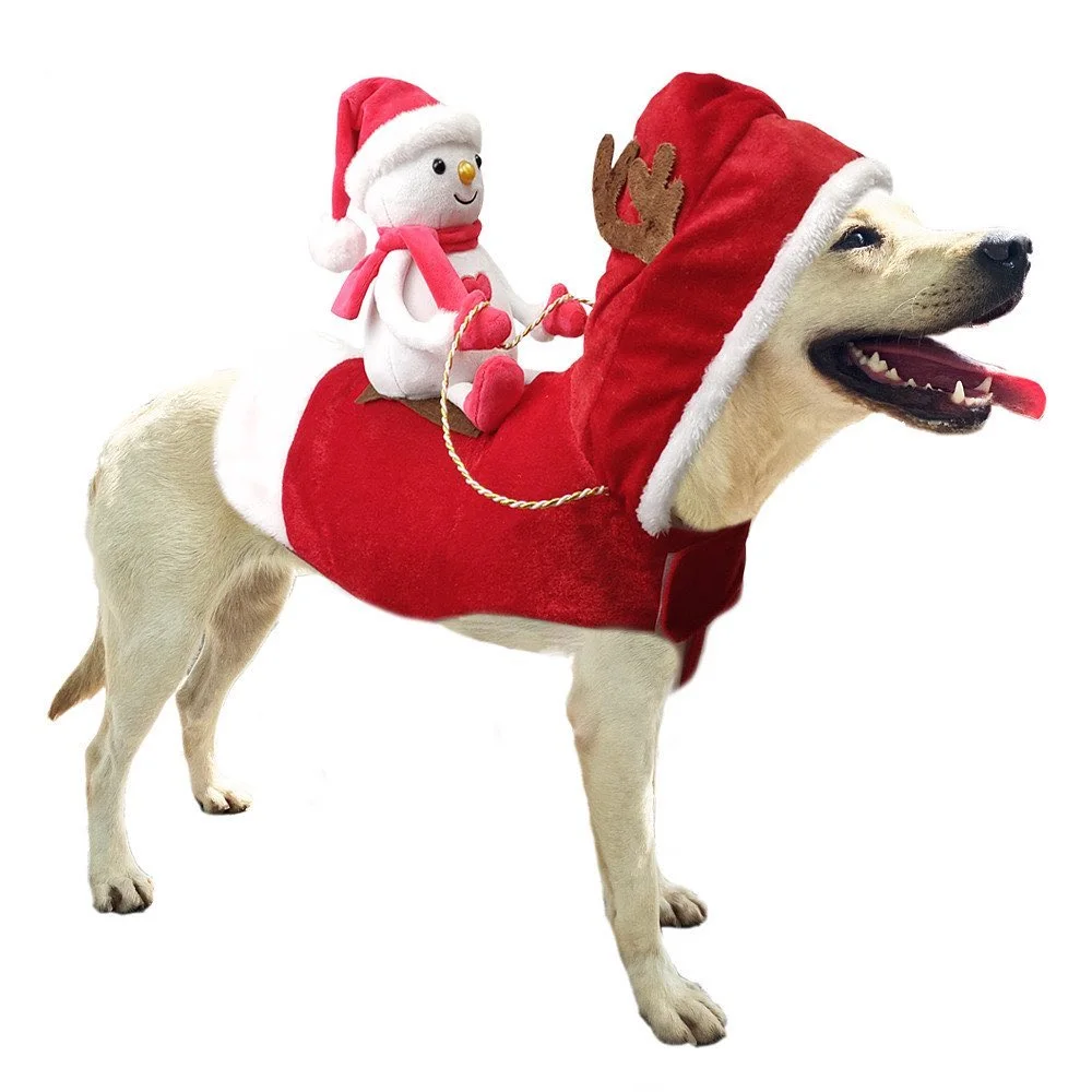 Roupinha de Natal Para Pet - Engraçada e Elegante